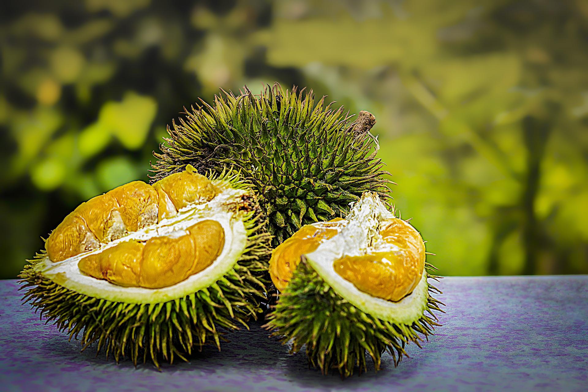 Il Durian: il frutto dall’odore molto forte e caratteristico